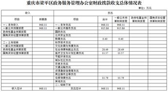 重庆市梁平区政务服务管理办公室2019年部门预算情况说明