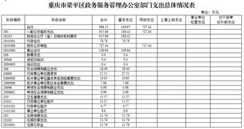 重庆市梁平区政务服务管理办公室2019年部门预算情况说明