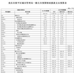 重庆市梁平区城市管理局2019年部门预算情况说明